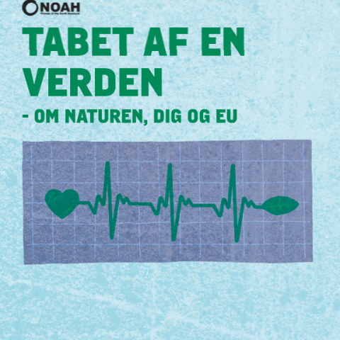 Tabet af en verden - forside