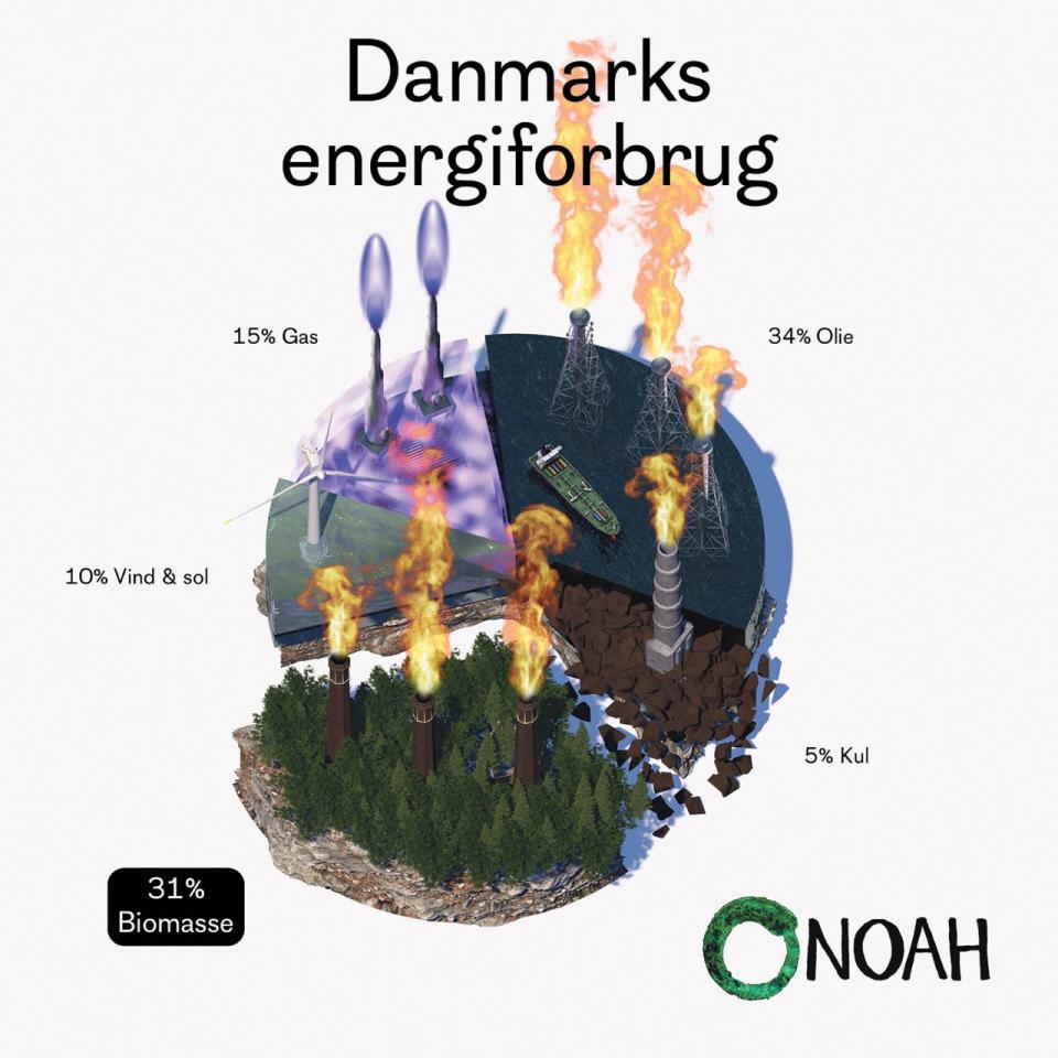 Danmarks Energiforbrug 2021