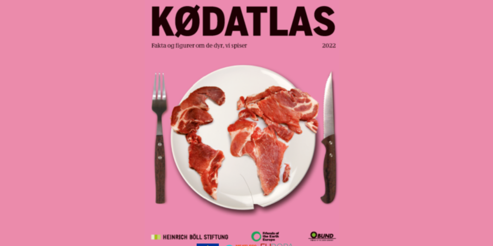 kød atlas