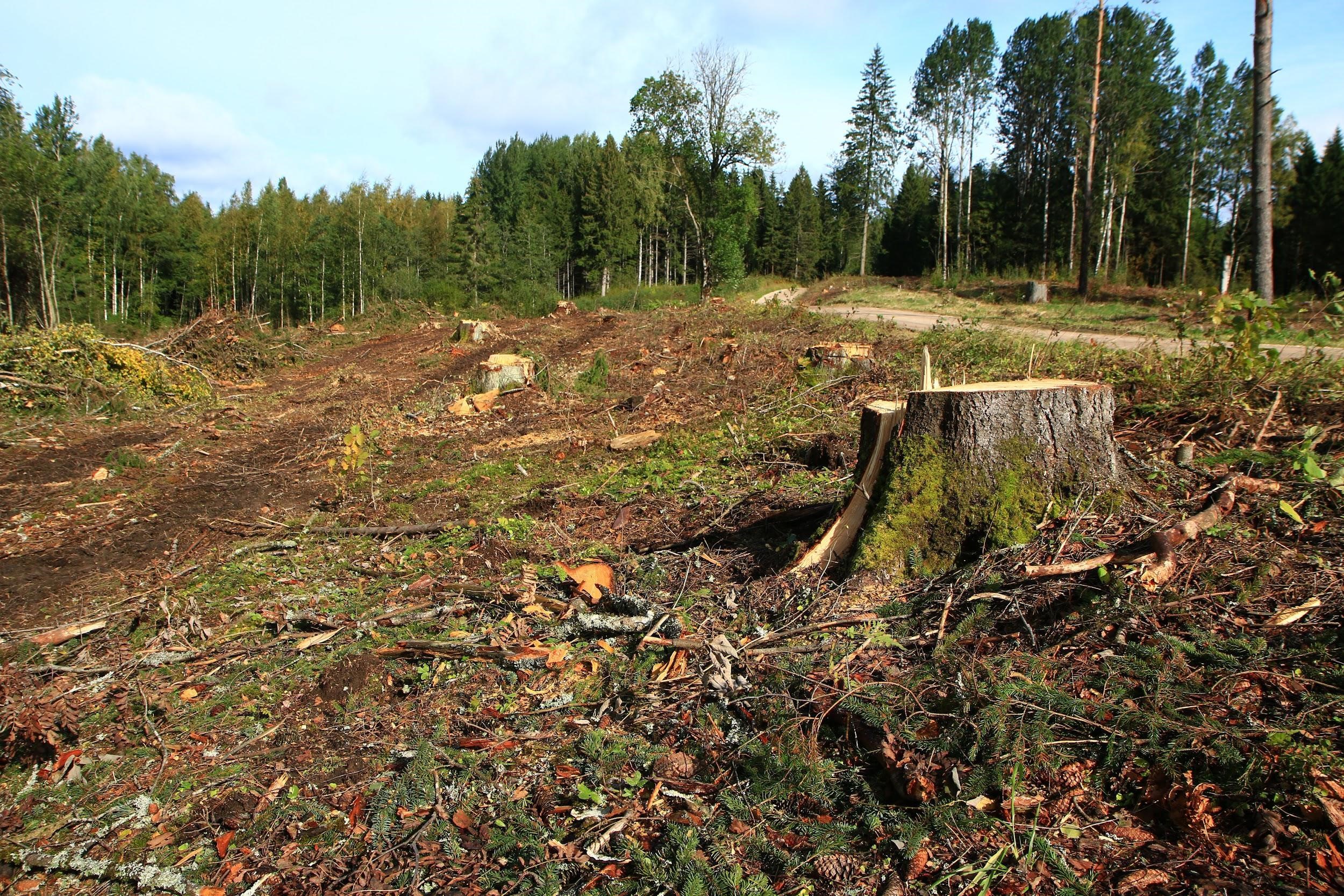 Figure 6. Natura 2000 area in Haanja of Estonia. Source: Estonian Fund for Nature (ELF).