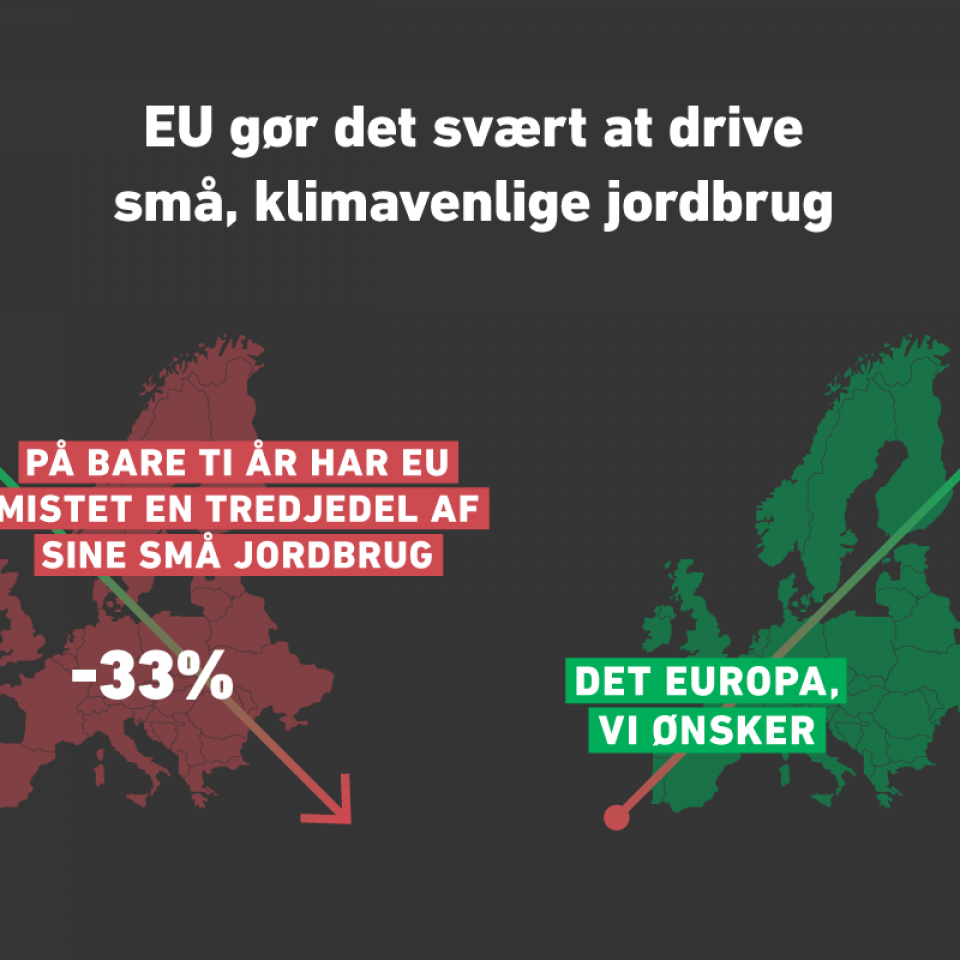 Små jordbrug er godt for klima og biodiversitet