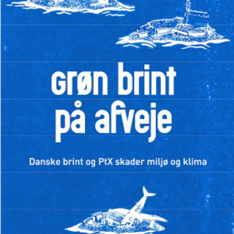 Grøn brint på afveje