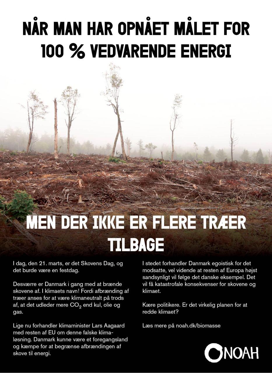 Når man har opnået målet for 100 % vedvarende energi - men der ikke er flere træer tilbage