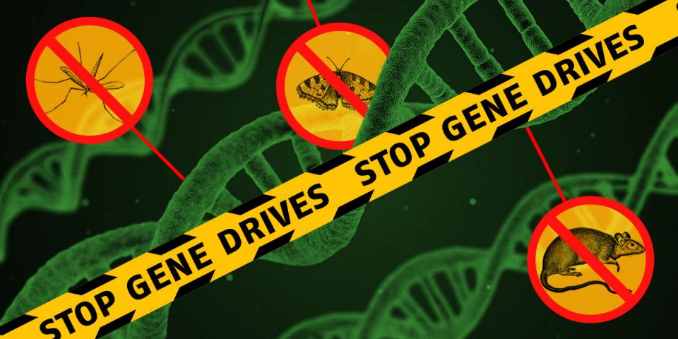 Stop Gene Drives