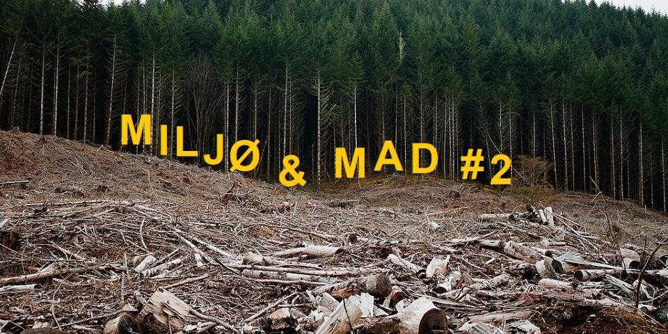 Miljø & Mad #2: Biomasse