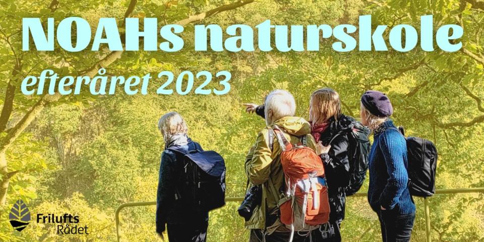 Naturskolen efteråret 2023